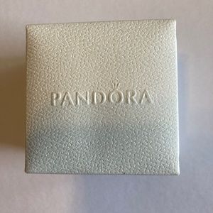 PANDORA thick chain